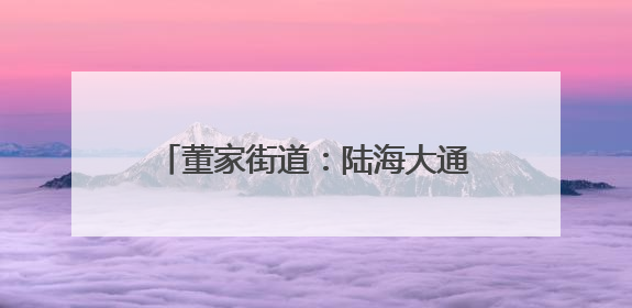 董家街道：陆海大通道释放“黄金效应”