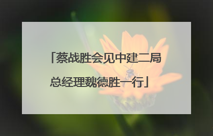 蔡战胜会见中建二局总经理魏德胜一行