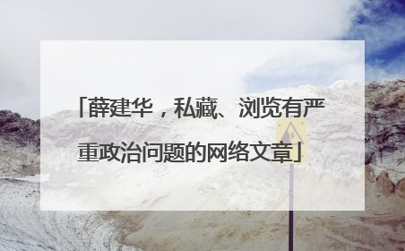 薛建华，私藏、浏览有严重政治问题的网络文章
