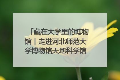 藏在大学里的博物馆｜走进河北师范大学博物馆天地科学馆：在校园里赴一场“宇宙之约”