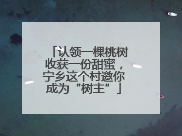 认领一棵桃树收获一份甜蜜，宁乡这个村邀你成为“树主”