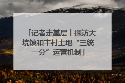 记者走基层丨探访大垸镇和丰村土地“三统一分”运营机制