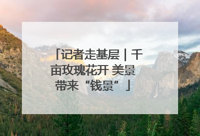 记者走基层｜千亩玫瑰花开 美景带来“钱景”