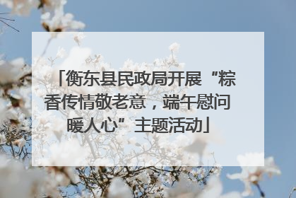 衡东县民政局开展“粽香传情敬老意，端午慰问暖人心”主题活动