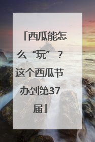 西瓜能怎么“玩”？这个西瓜节办到第37届