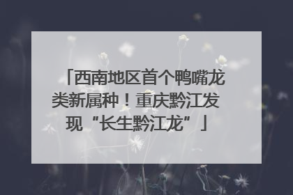 西南地区首个鸭嘴龙类新属种！重庆黔江发现“长生黔江龙”