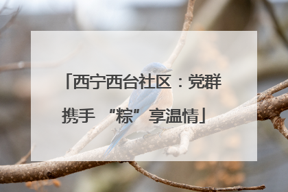 西宁西台社区：党群携手 “粽”享温情
