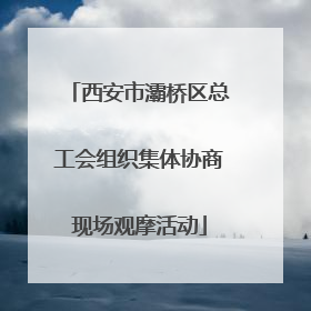 西安市灞桥区总工会组织集体协商现场观摩活动