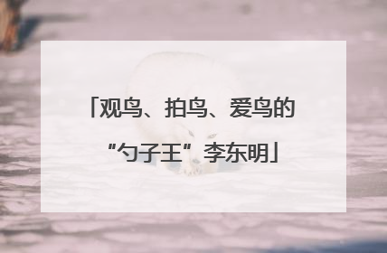 观鸟、拍鸟、爱鸟的“勺子王”李东明