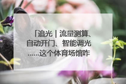 追光｜流量测算、自动开门、智能调光……这个体育场馆咋这么先进？