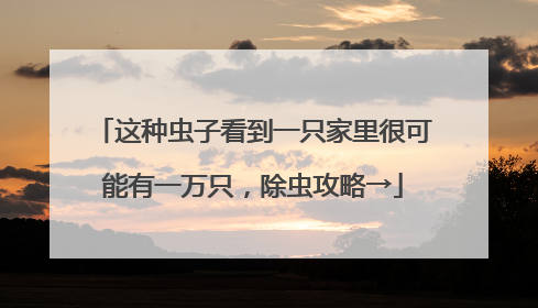 这种虫子看到一只家里很可能有一万只，除虫攻略→