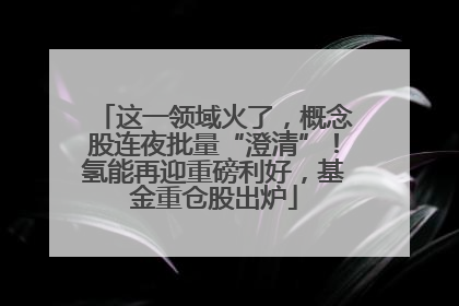 这一领域火了，概念股连夜批量“澄清”！氢能再迎重磅利好，基金重仓股出炉