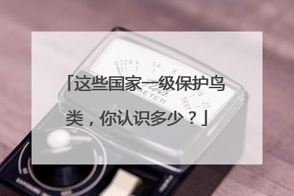 这些国家一级保护鸟类，你认识多少？