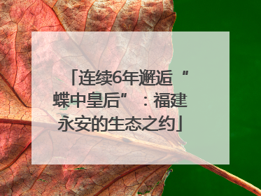 连续6年邂逅“蝶中皇后”：福建永安的生态之约