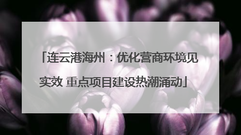 连云港海州：优化营商环境见实效 重点项目建设热潮涌动