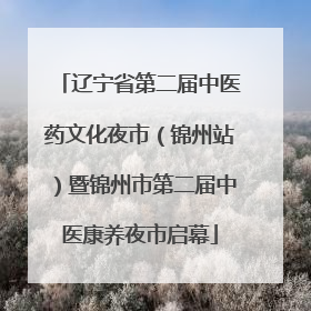 辽宁省第二届中医药文化夜市（锦州站）暨锦州市第二届中医康养夜市启幕