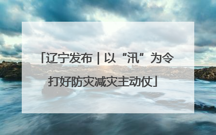 辽宁发布｜以“汛”为令 打好防灾减灾主动仗