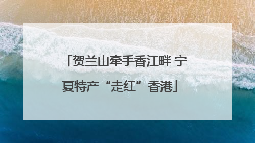 贺兰山牵手香江畔 宁夏特产“走红”香港
