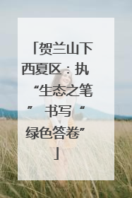 贺兰山下西夏区：执“生态之笔” 书写“绿色答卷”