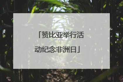 赞比亚举行活动纪念非洲日