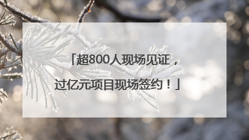 超800人现场见证，过亿元项目现场签约！