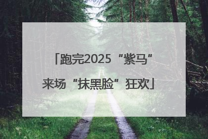 跑完2025“紫马” 来场“抹黑脸”狂欢