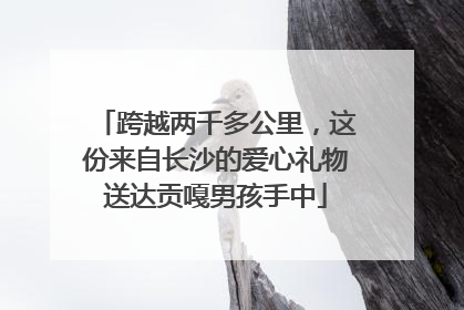 跨越两千多公里，这份来自长沙的爱心礼物送达贡嘎男孩手中