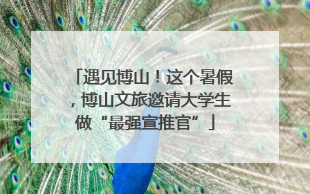 遇见博山！这个暑假，博山文旅邀请大学生做“最强宣推官”