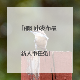 邵阳市发布最新人事任免