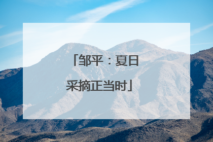 邹平：夏日采摘正当时
