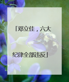 邓立佳，六大纪律全部违反
