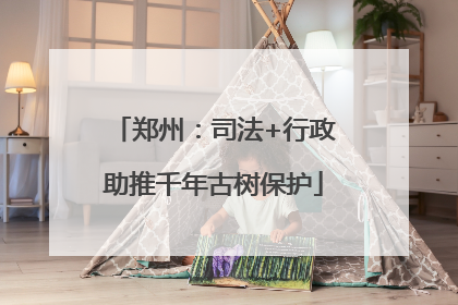 郑州：司法+行政助推千年古树保护