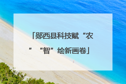 郧西县科技赋“农”“智”绘新画卷