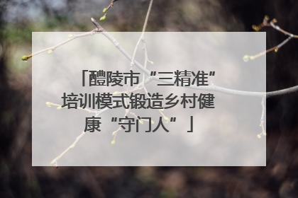 醴陵市“三精准”培训模式锻造乡村健康“守门人”