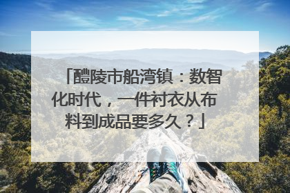 醴陵市船湾镇：数智化时代，一件衬衣从布料到成品要多久？