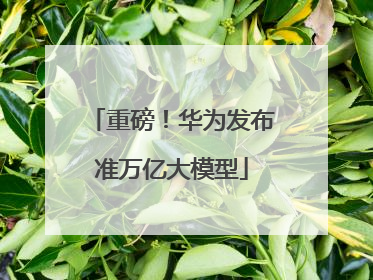 重磅！华为发布准万亿大模型