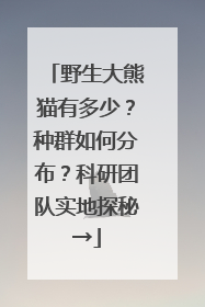 野生大熊猫有多少？种群如何分布？科研团队实地探秘→