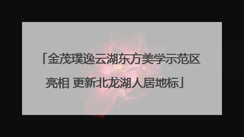金茂璞逸云湖东方美学示范区亮相 更新北龙湖人居地标