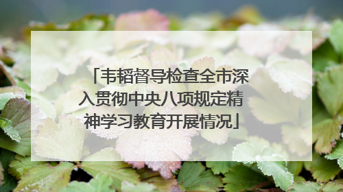 韦韬督导检查全市深入贯彻中央八项规定精神学习教育开展情况
