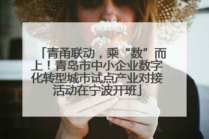 青甬联动，乘“数”而上！青岛市中小企业数字化转型城市试点产业对接活动在宁波开班