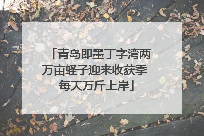 青岛即墨丁字湾两万亩蛏子迎来收获季 每天万斤上岸