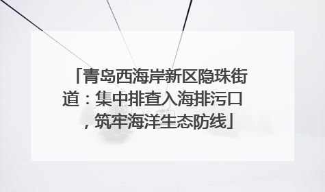青岛西海岸新区隐珠街道：集中排查入海排污口，筑牢海洋生态防线