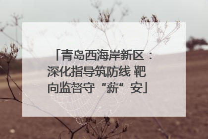 青岛西海岸新区：深化指导筑防线 靶向监督守“薪”安
