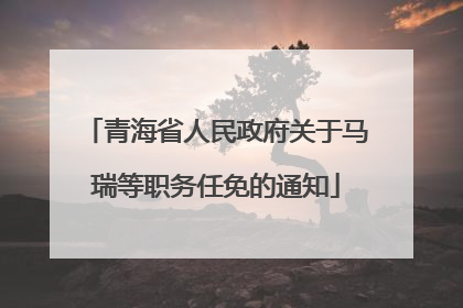 青海省人民政府关于马瑞等职务任免的通知