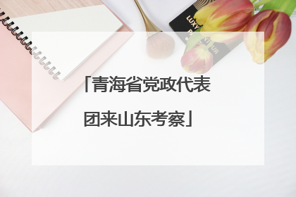 青海省党政代表团来山东考察
