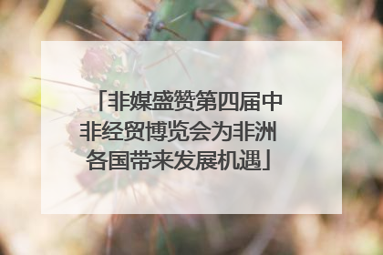 非媒盛赞第四届中非经贸博览会为非洲各国带来发展机遇