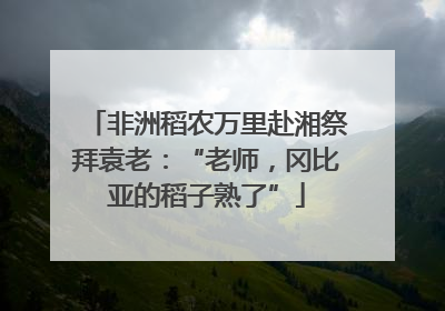 非洲稻农万里赴湘祭拜袁老：“老师，冈比亚的稻子熟了”