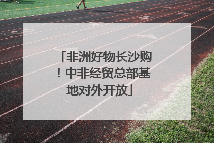 非洲好物长沙购！中非经贸总部基地对外开放