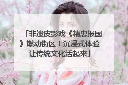 非遗皮影戏《精忠报国》燃动街区！沉浸式体验让传统文化活起来