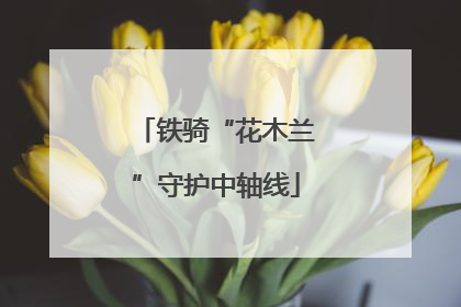 铁骑“花木兰”守护中轴线